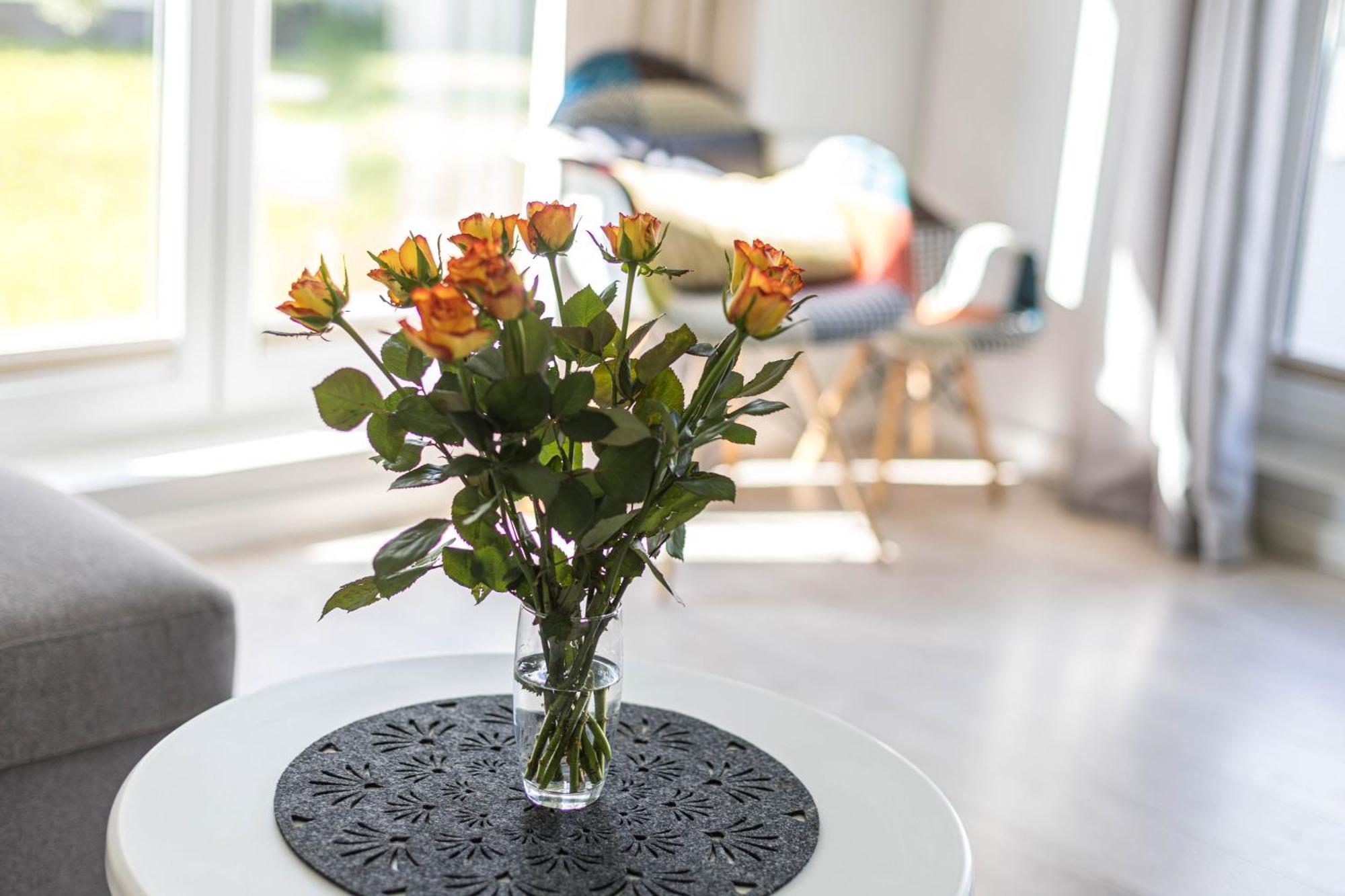 Apartamenty Morski Raj Устроне Морске Стая снимка